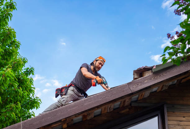 Best Sheet Metal Roofing  in Lambert, MS