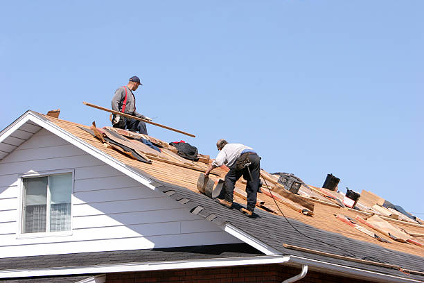 Best Asphalt Shingle Roofing  in Lambert, MS